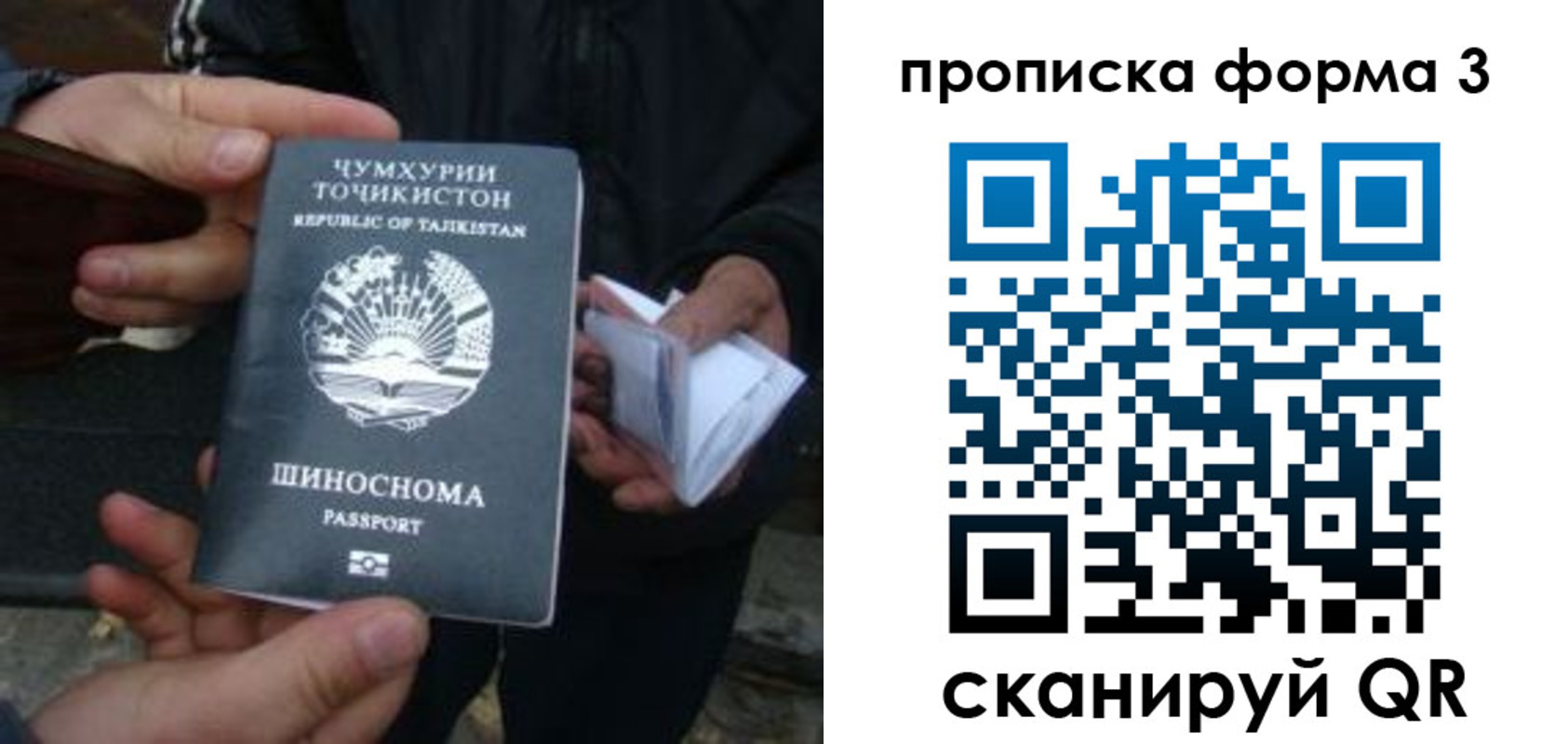 прописка 2025 в Кусе